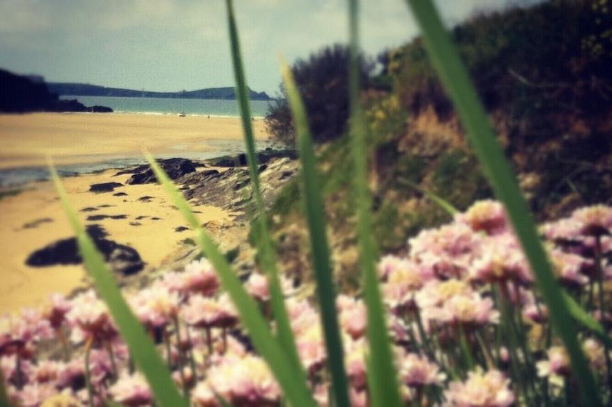 Wonderful beach house just 250 metres from Fistral Beach. (SUMMER DISCOUNTS)