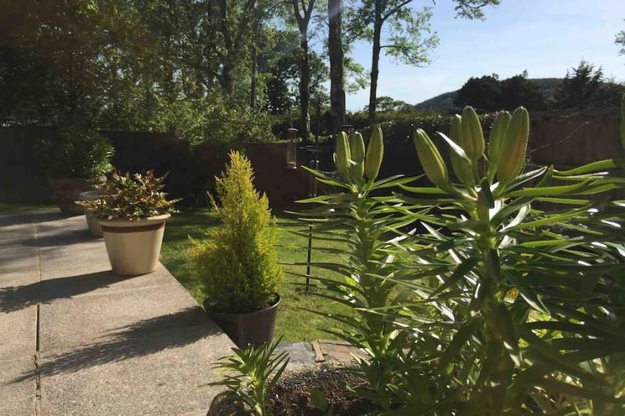 Peaceful Country Cottage near Carmarthen