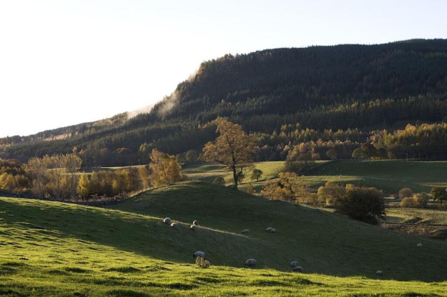 Stalker's Lodge, award winning holiday house on stunning Highland estate