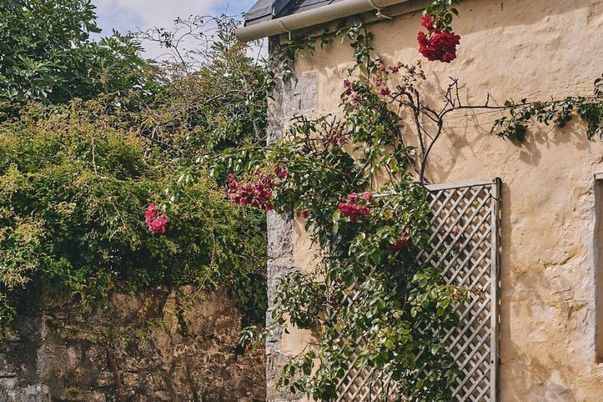 Bamboo Cottage - Luxury Cottages