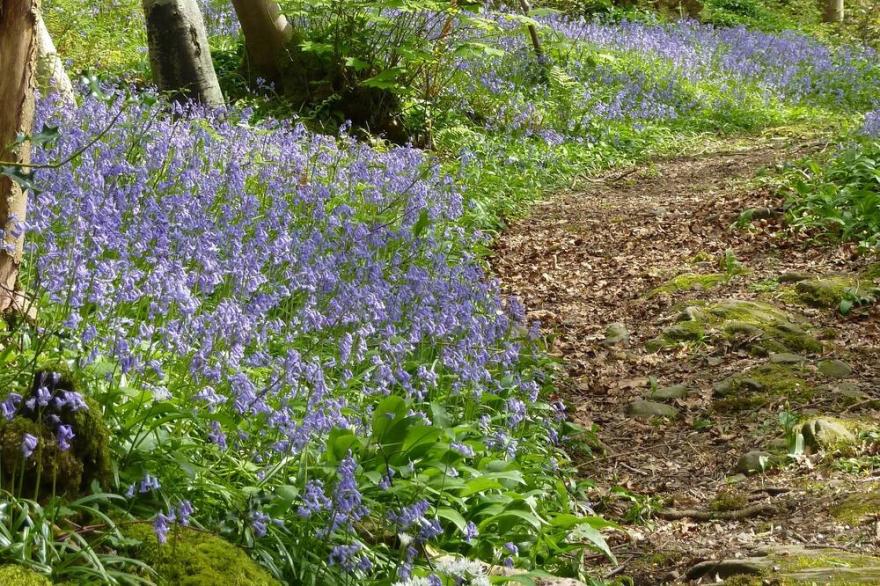 Peaceful South Lakes cottage with enclosed garden close to  Coniston water.