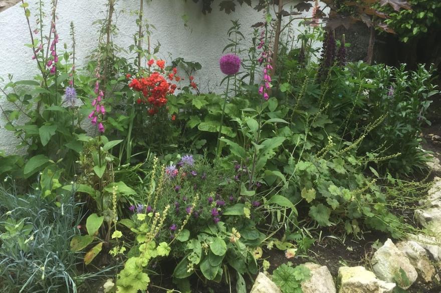 Corner Cottage 1 mile from Ballygally and Antrim Coast Rd