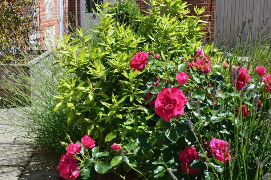 Self catering cottage near Salisbury & Stonehenge with fabulous pub opposite