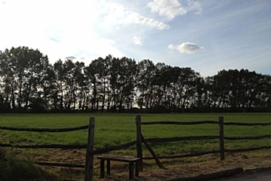 Peaceful Kentish Country Cottage - just 35 minutes from London