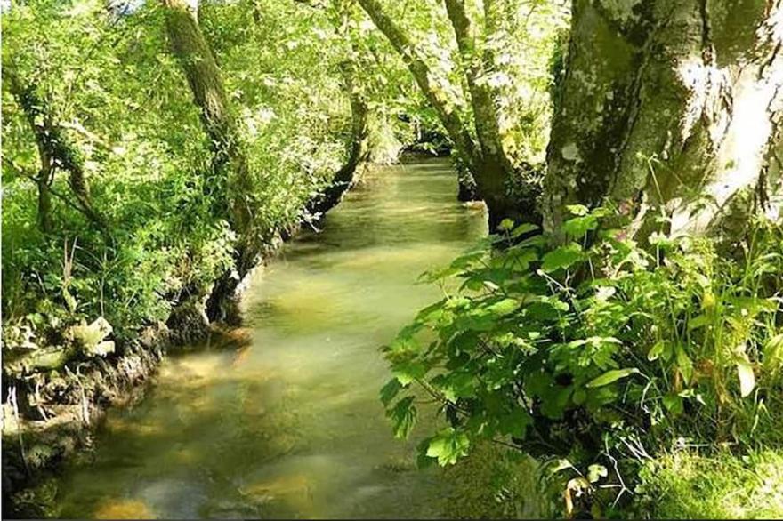 Luxurious, tranquil retreat, huge private garden with river, near beaches.