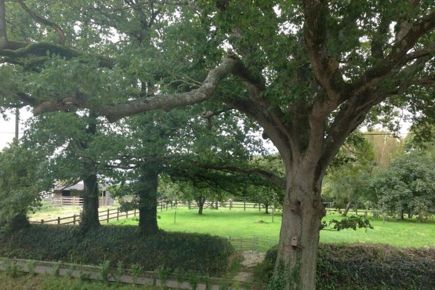 A Devon rural retreat