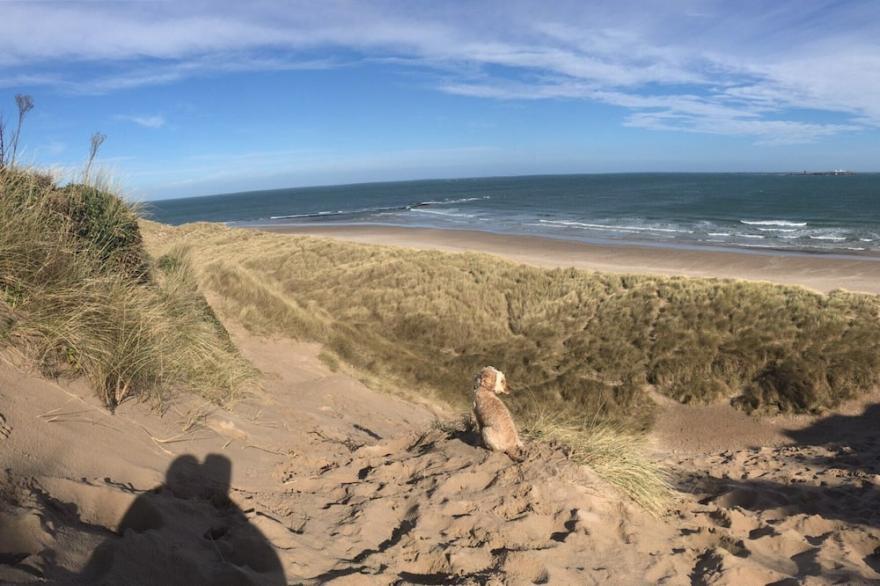 BLISSFUL BEACH RETREAT TO REST AND RE THINK WHAT REALLY MATTERS ❤️ <br><br>