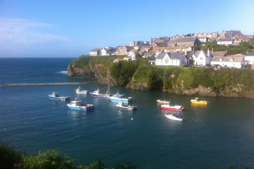 Detached 2 Bedroom Cottage Above Port Isaac Harbour As Featured In Doc Martin.