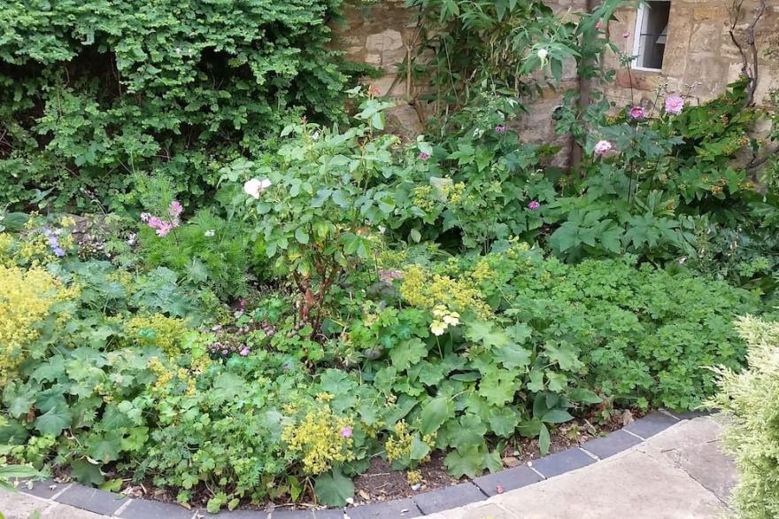 Delightful stone cottage in the heart of Chipping Campden