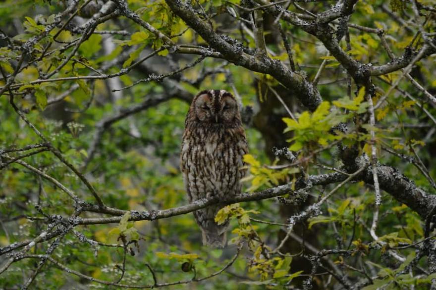 Wildlife haven with river