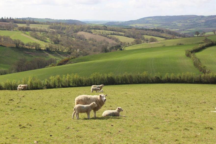 Period Property in Idyllic Rural Devon Countryside close to Dartmoor, Sleeps 10