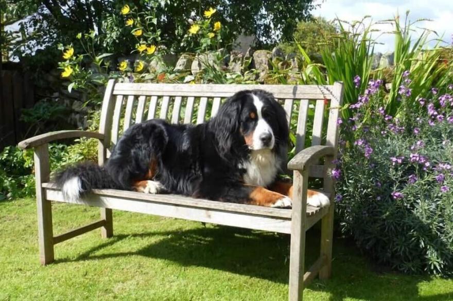 BOXTREE, pet friendly, character holiday cottage in Keswick