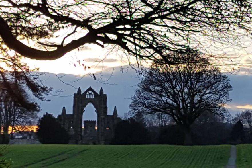 Saltburn Holidays Primrose Cottage