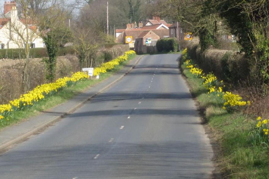 Central location for touring,comfy beds ,wild life,lovely views.great reviews