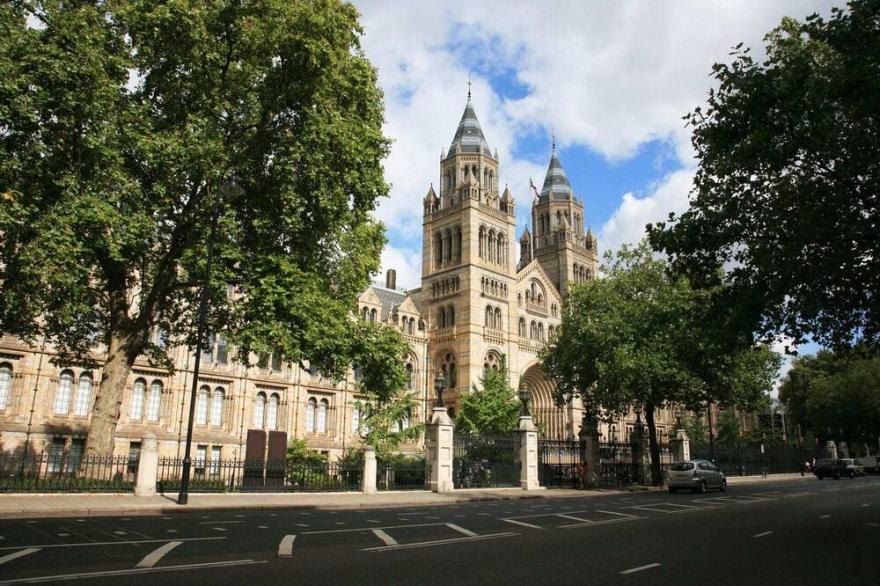 Stylish 1 Bedroom Mews Apartment Near Hyde Park