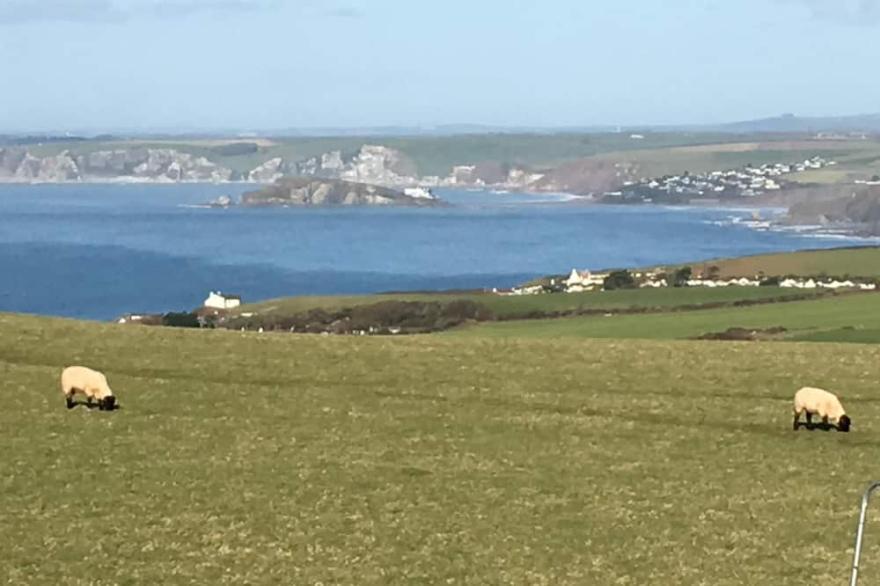 Breathtaking sea views between Salcombe and Hope Cove