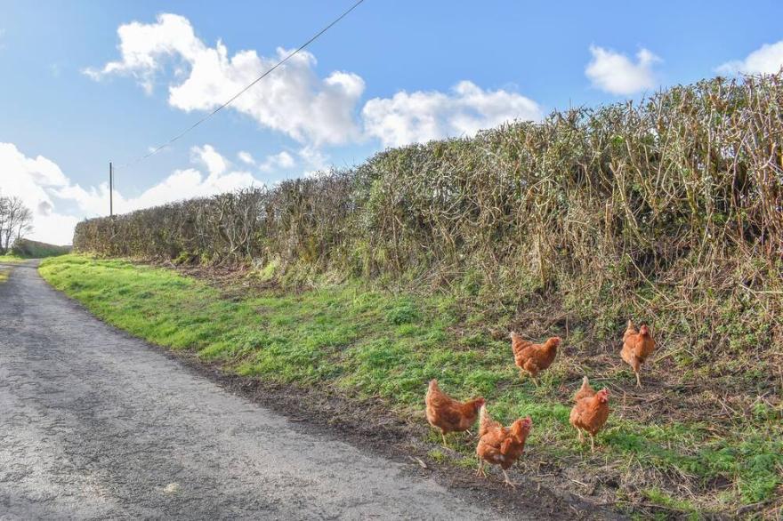 1 bedroom accommodation in Buckland Brewer
