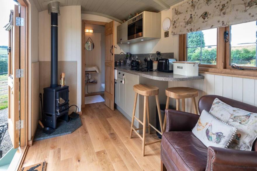 PADARN'S HUT, with hot tub in Llanbadarn Fynydd