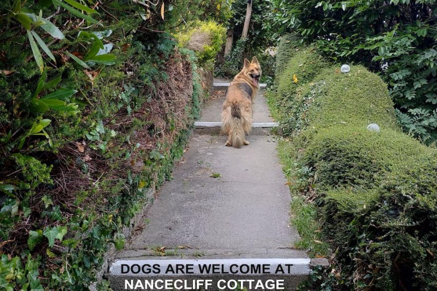 Dog friendly detached Nancecliff Cottage-enclosed garden & ocean view-Cornwall