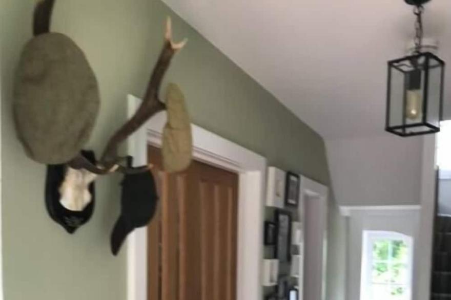 Pretty country family home- dog friendly.