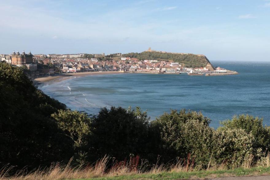 53 BURNISTON ROAD, pet friendly, with a garden in Scarborough