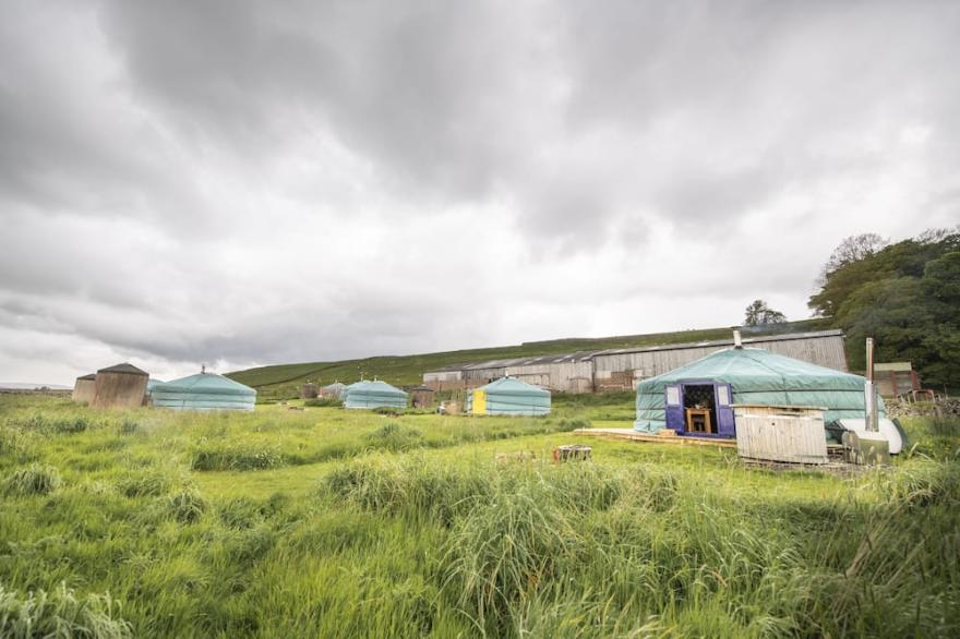 With views across Wether Fell, waking up in Goldfinch Yurt is like no other