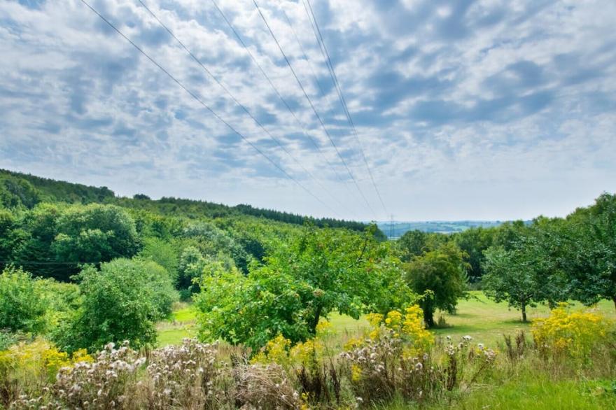 Teign Cottage - Two Bedroom House, Sleeps 4