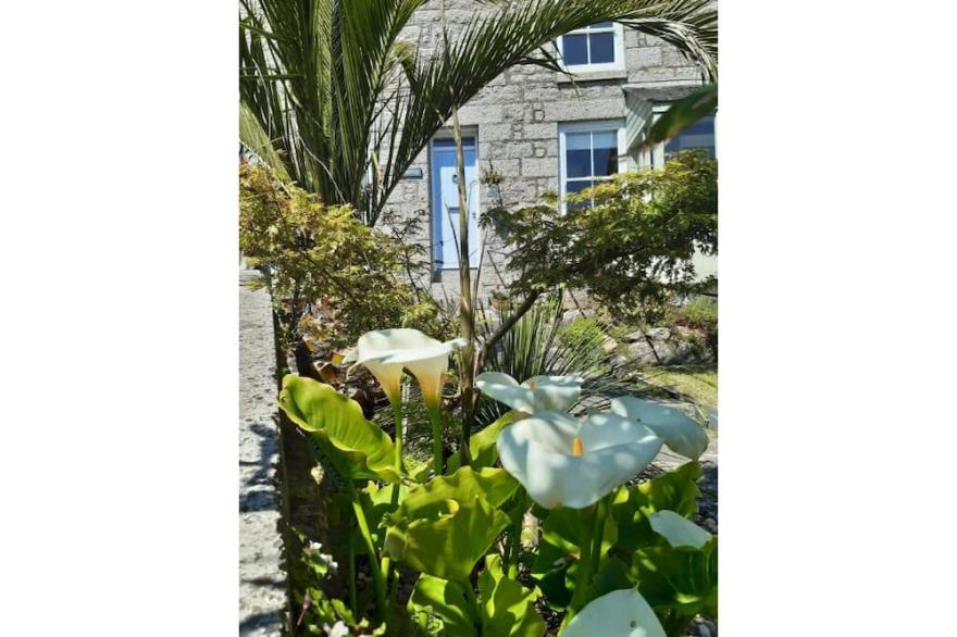 Beautiful cottage 1/2 mile from Mousehole