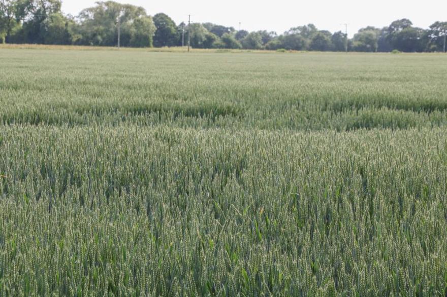 CEADDA COTTAGE, family friendly in Drax, North Yorkshire