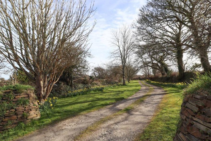 LITTLE CHYGOWLIN, pet friendly, with open fire in Truro