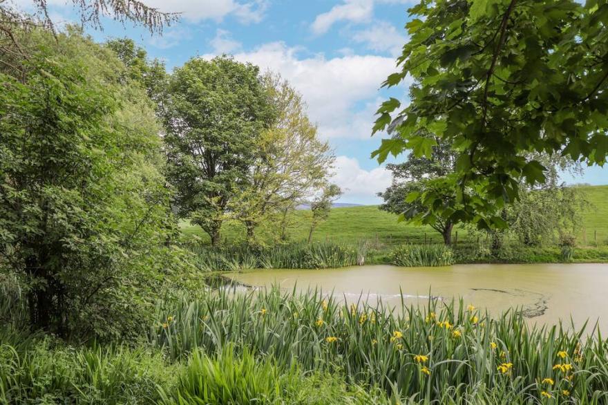 HIGH RIGG SHEPHERD'S SUNRISE, pet friendly in Brampton, Cumbria
