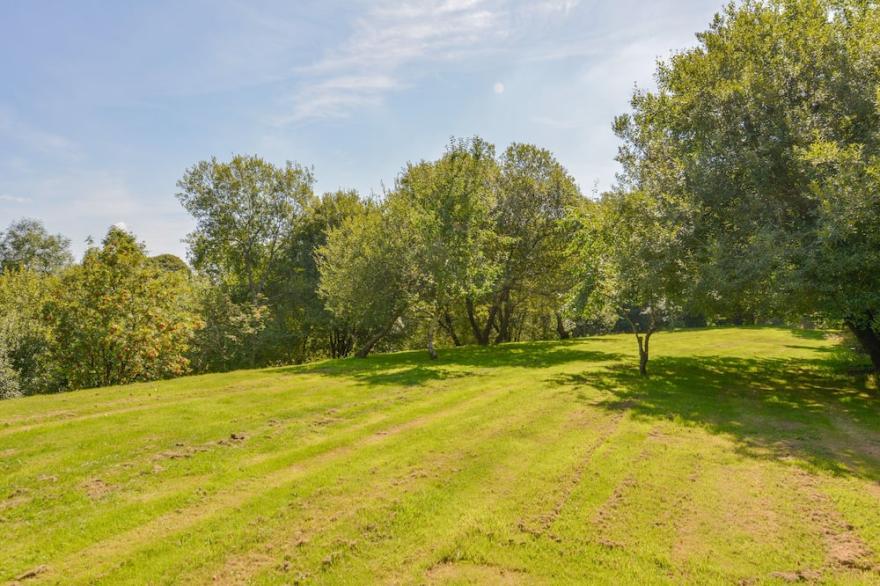 KINGFISHER COTTAGE, pet friendly, with open fire in Bradworthy
