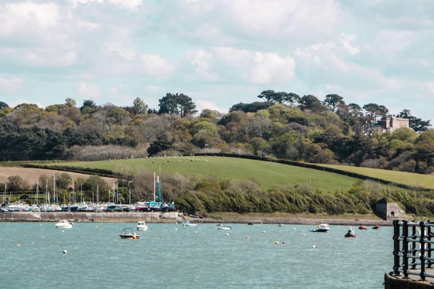 FERRIWAIS, pet friendly, with a garden in Appledore