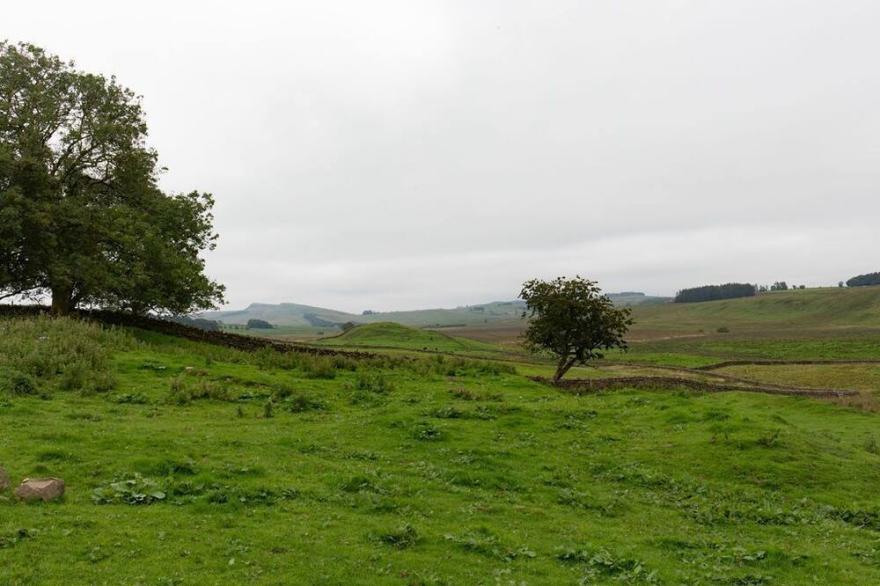 LOWTOWN COTTAGE - an eclectic rural cottage set in the Northumbrian countryside