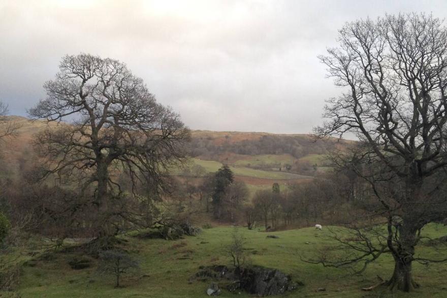 Four star gold standard Lakeland cottage