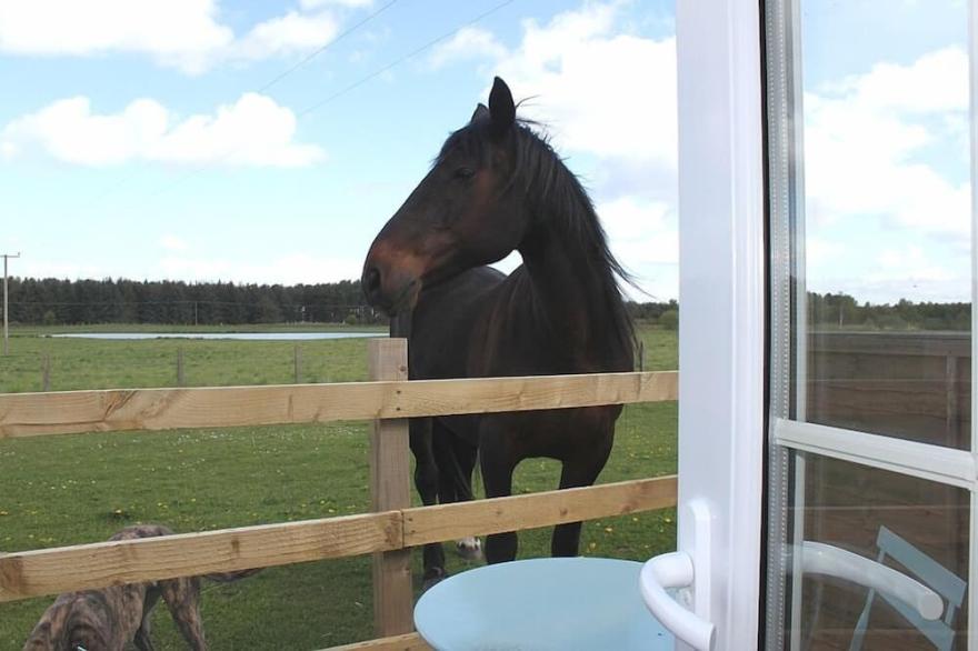 Gorgeous, romantic countryside bothy in courtyard with hot tub