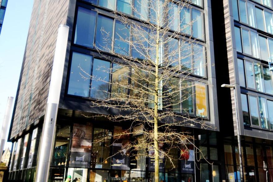 273 Stylish 2 bed Meadows apt  - with private parking