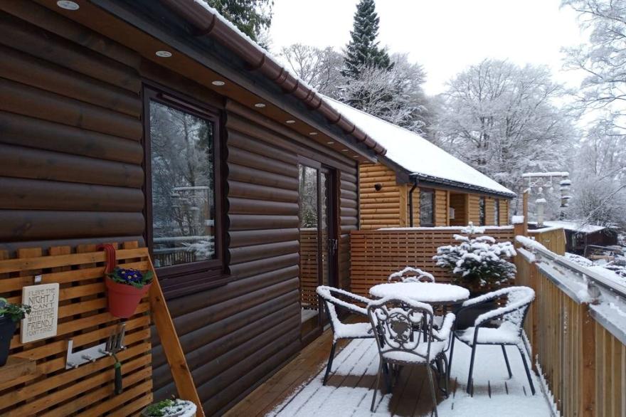 Cosy and welcoming cottage in Scotland, UK