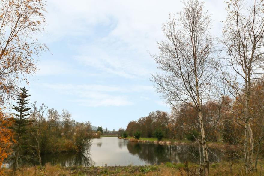AVONAL LODGE (24), family friendly, with a garden in Dunning