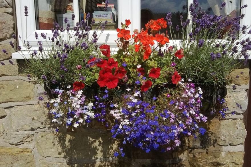 Foxglove Cottage, Pet friendly cottage just outside Scarborough. Ideal base