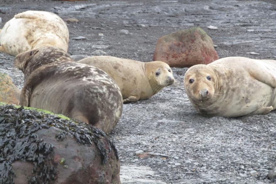 40ft x 20ft luxury holiday lodge near Scarborough; 3 bed, sleeps 6, hot tub