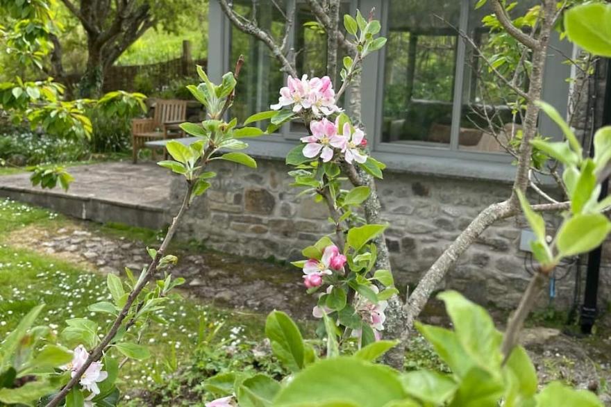 Stunning coastal cottage in valley near St Just