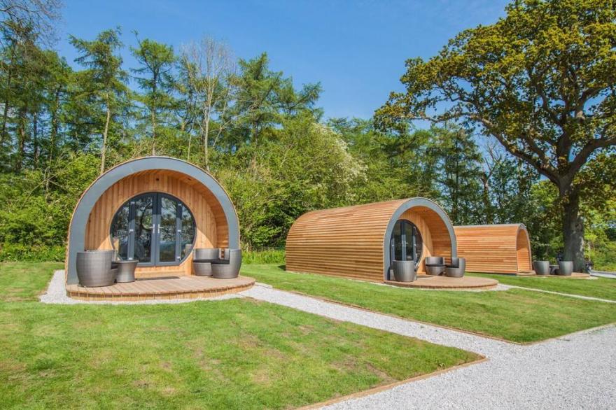 Clover Family Glamping Pod | sleeps 4 - Gold Award winning