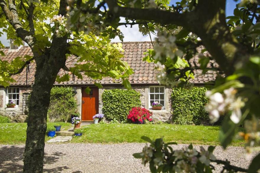 Beautiful, detatched 300 year old, fully renovated cottage with country views