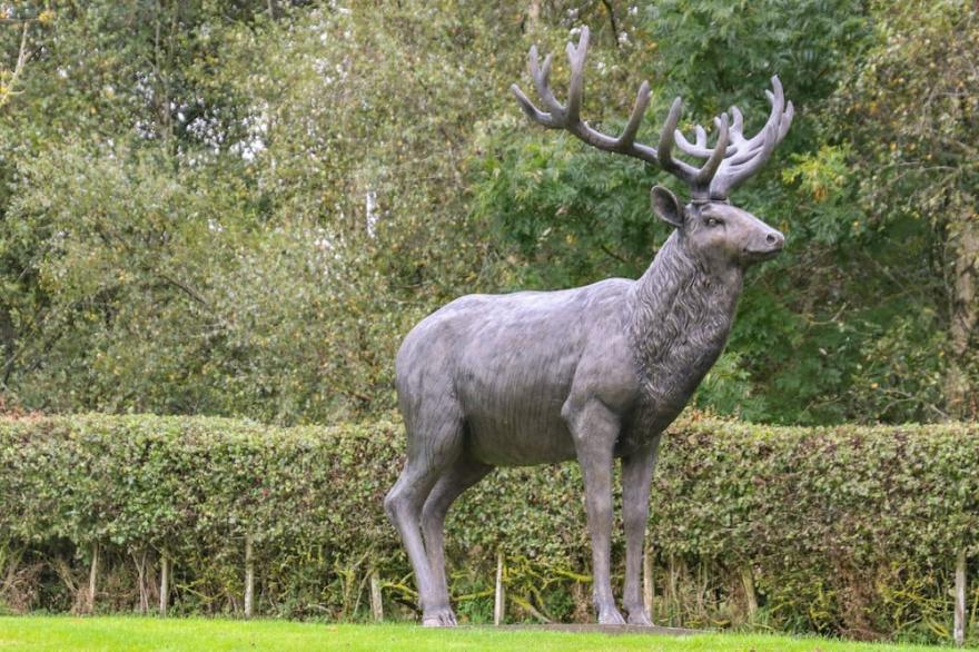 THE WARREN, pet friendly, character holiday cottage in Hellifield