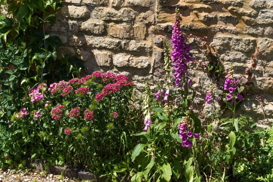 Cosy 2 Bed Mews House (1) In Central Cirencester In The Cotswolds, England