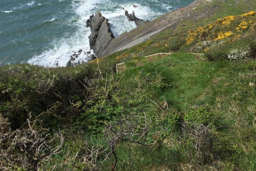 Holiday Cottage In Appledore