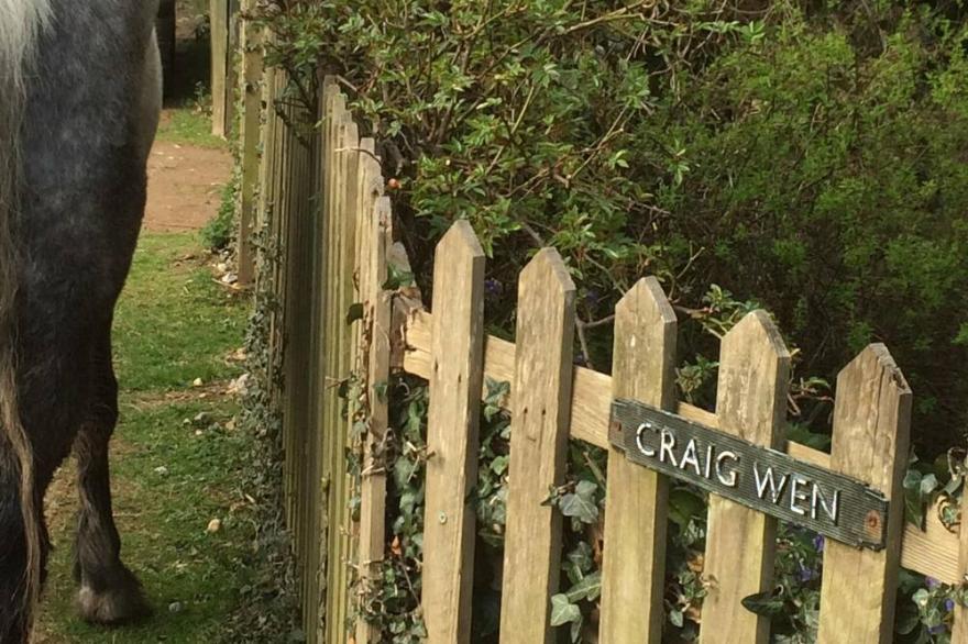 Beautiful Country Cottage in Burley -  the Heart of the New Forest National Park