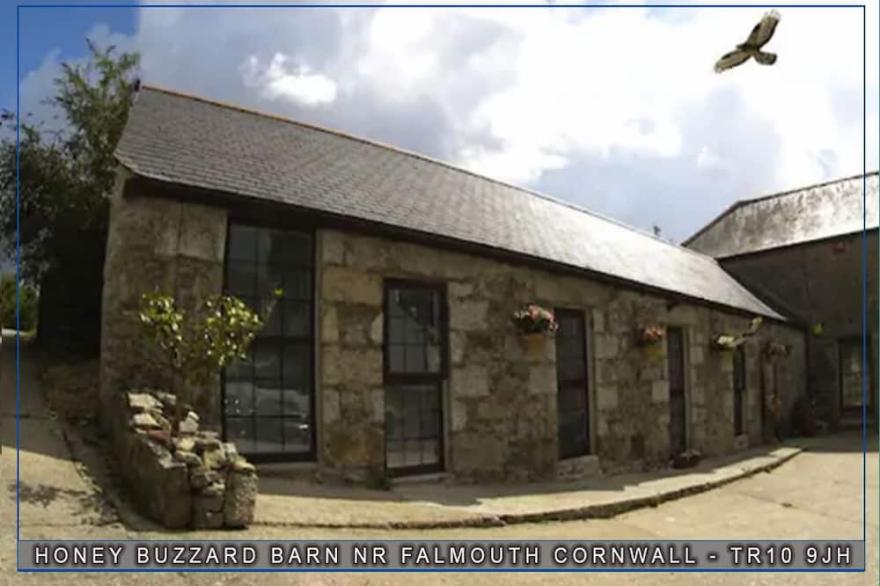 Honey Buzzard - A Character - Self Catering Barn, Rural Location, Dog Friendly -
