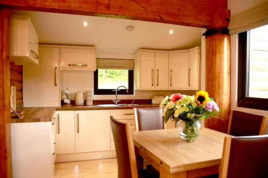 The Cabin at Ffos Farm